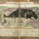 Illustration for article titled How Europeans Imagined Exotic Animals Centuries Ago, Based on Hearsay